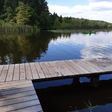 Schneeeule 224 Granzow